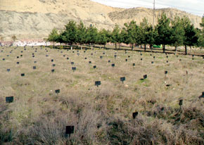 From the German prisoners’ cemetery