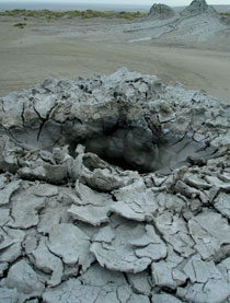 Mud-leafed crater