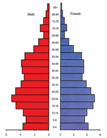 Population structure by age and sex in the Azerbaijan Republic at 1 January 2011. Source: Demographic Indicators of Azerbaijan. Baku, 2011