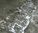 Mass Grave Found in Northern Azerbaijan