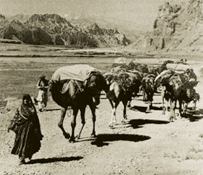 The main transport in the silk trade was caravans