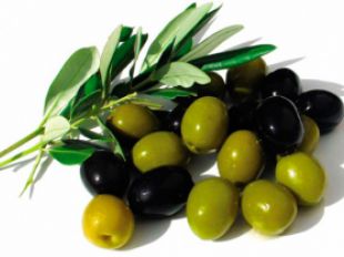Olive Industry in Azerbaijan