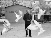 The Hidden World of Baku's Pigeon Fanciers