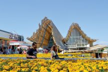 The Chinese pavilion boasts the most impressive flower display