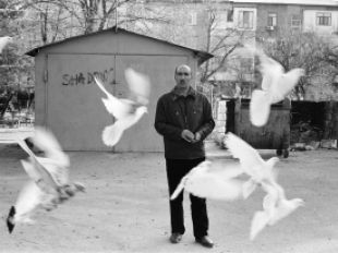 The Hidden World of Baku's Pigeon Keepers