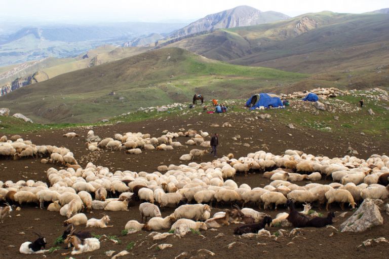 A shepherd’s camp in Quba