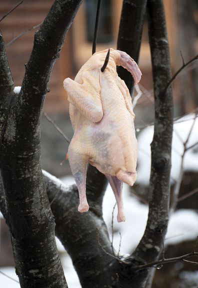 The turkeys are salted and hung in the winter frost for one day before being used to prepare kebabs