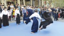 Aikido in action